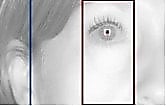 瞳孔の認識-右眼